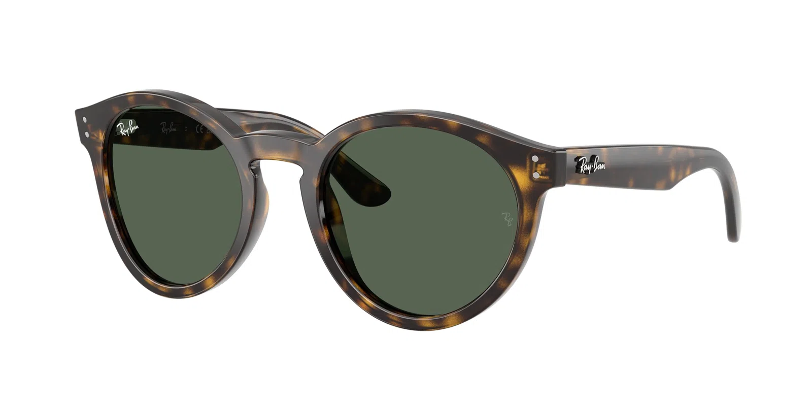 Ray-Ban R0505S Sunglasses - view 37
